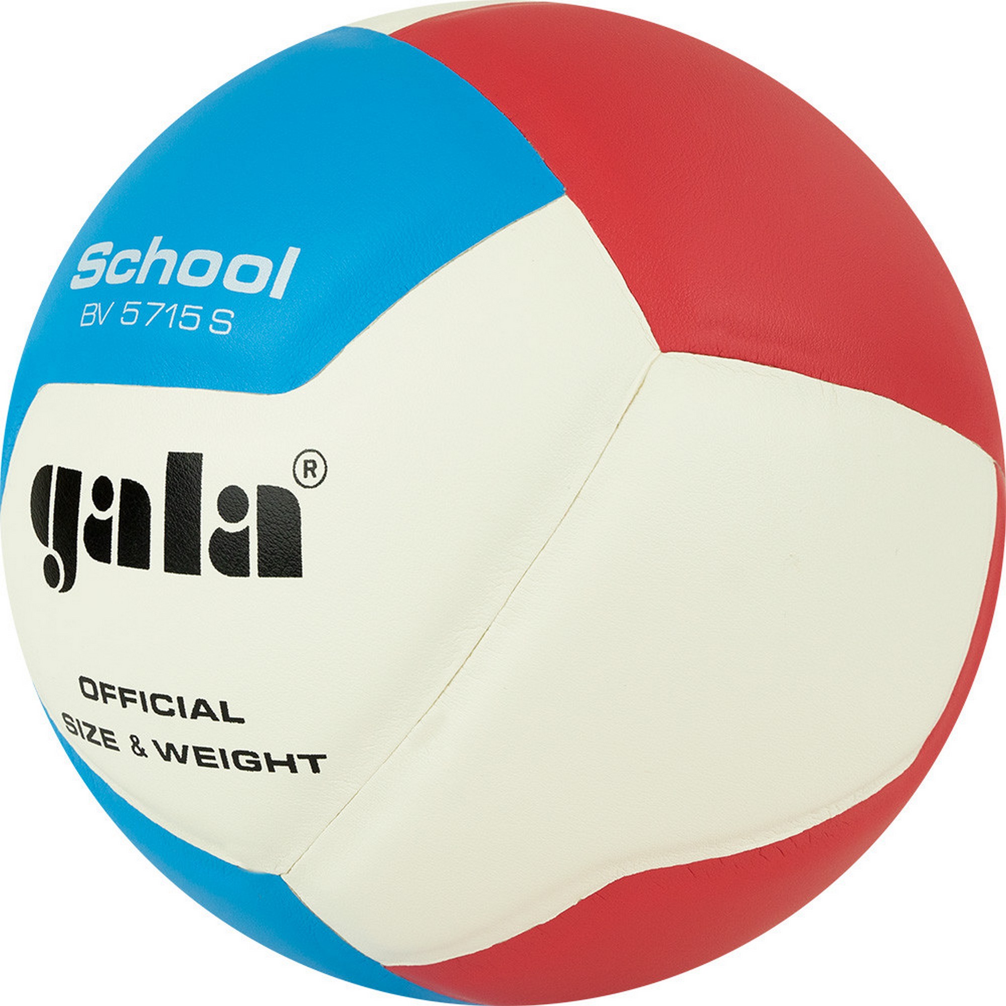 Мяч волейбольный Gala School 12 BV5715S р. 5 2000_2000